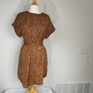 NWT New Nivyee Women Cheetah Print Shift Dress Removable Belt Sz Medium Classic